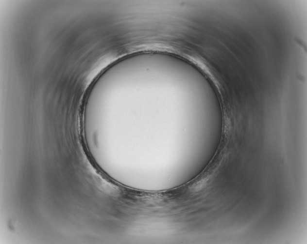 X0000099550999200805301517