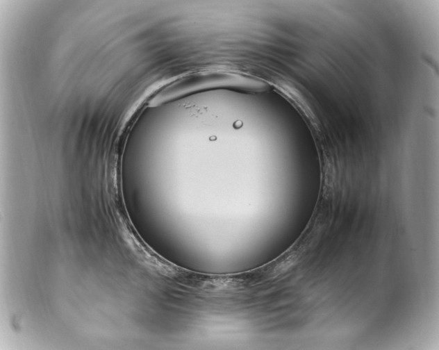 X0000099551000200805301517