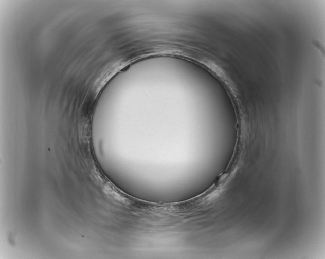 X0000099551001200805301517