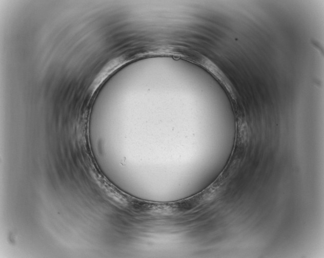 X0000099551002200805301517