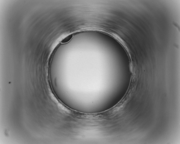 X0000099551005200805301517