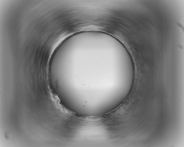 X0000099551008200805301517