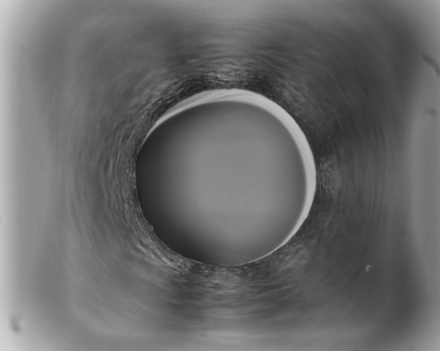 X0000099551009200805301516