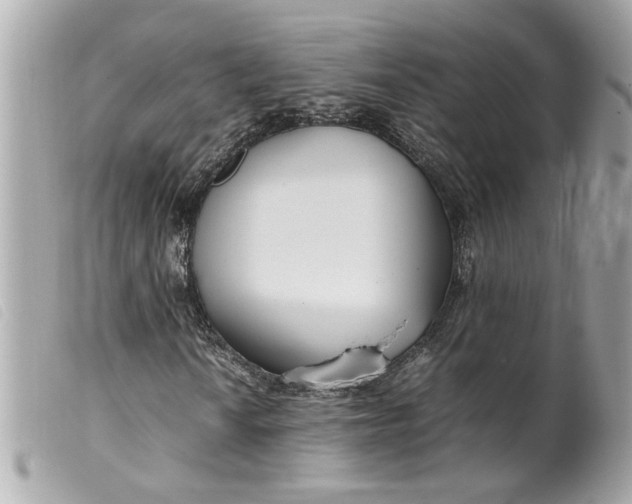 X0000099551010200805301516