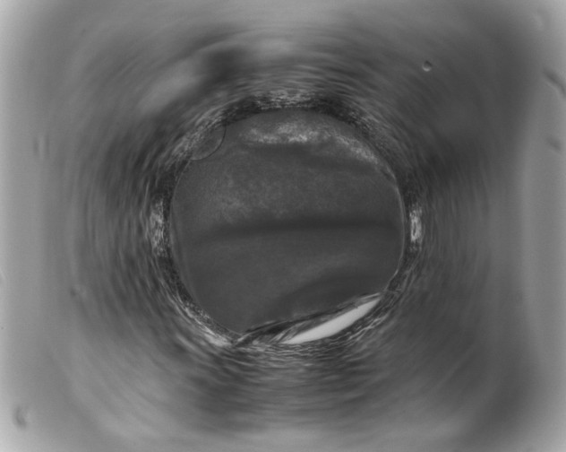 X0000099551011200805301516