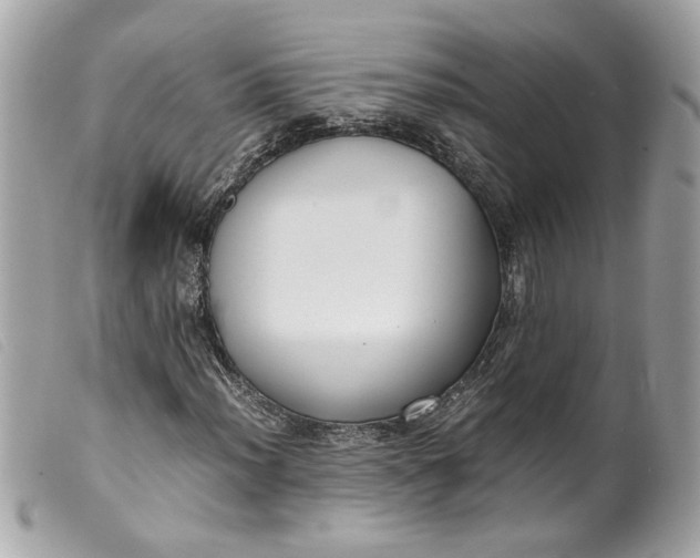 X0000099551012200805301516