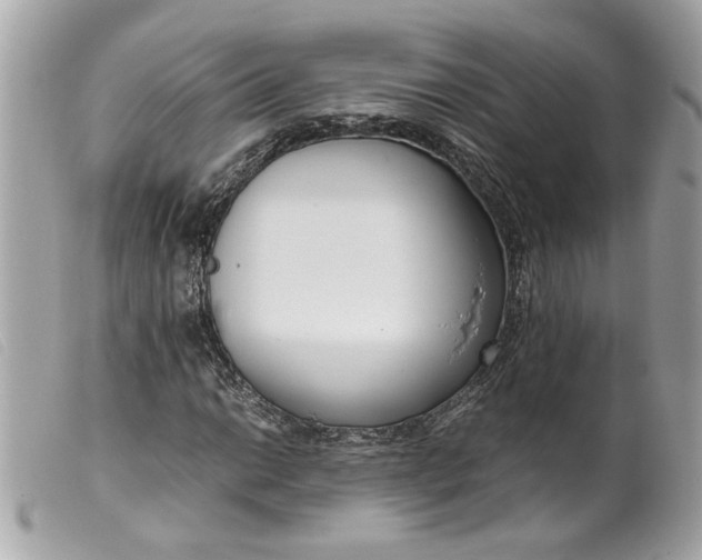 X0000099551014200805301516