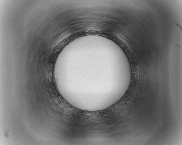 X0000099551015200805301516