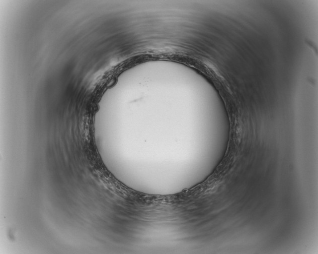 X0000099551016200805301516