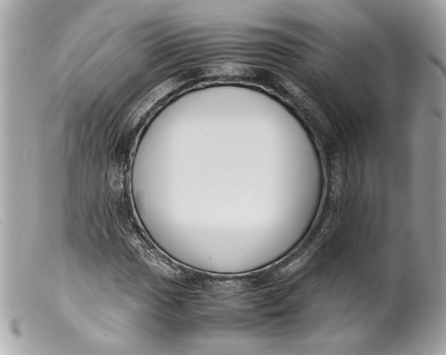 X0000099551017200805301516