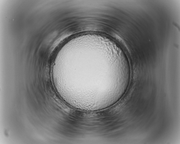 X0000099551019200805301516