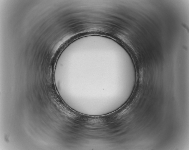 X0000099551021200805301516