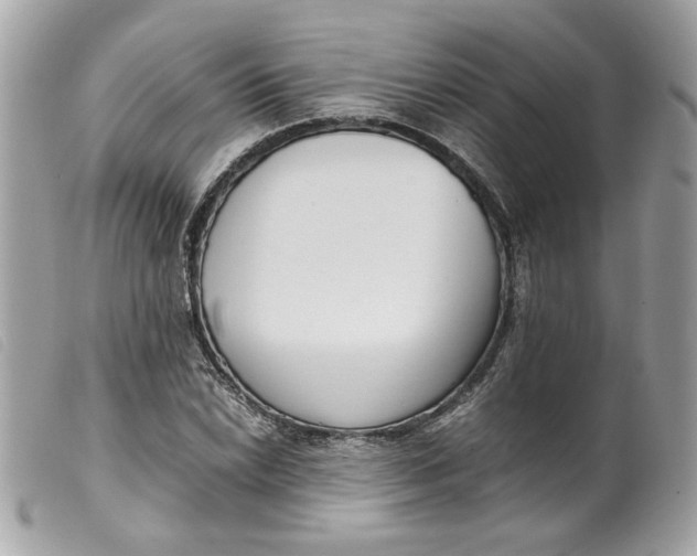 X0000099551022200805301516