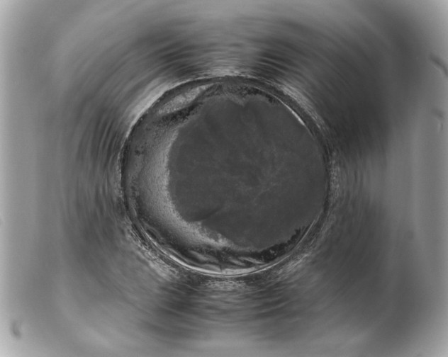 X0000099551023200805301516