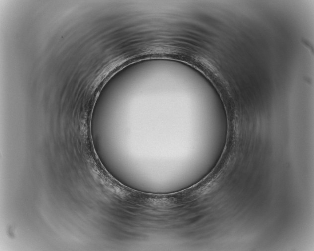 X0000099551025200805301516