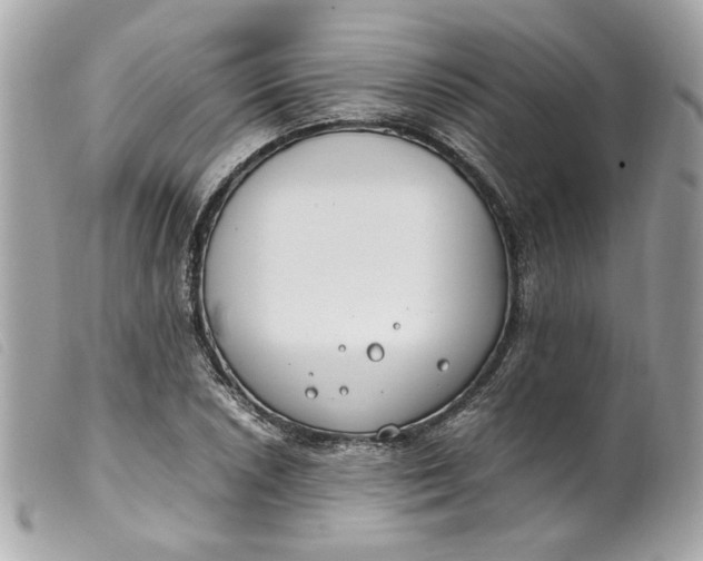 X0000099551026200805301517