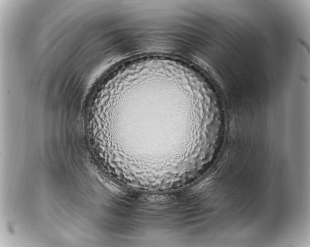 X0000099551027200805301517