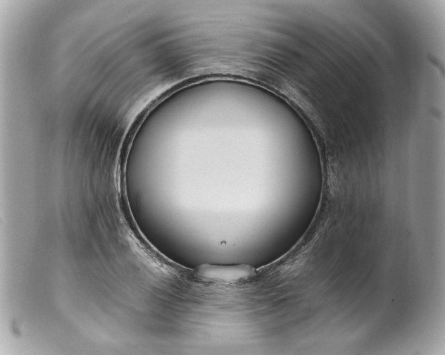 X0000099551028200805301517