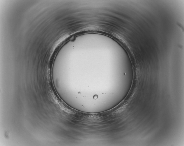 X0000099551029200805301517