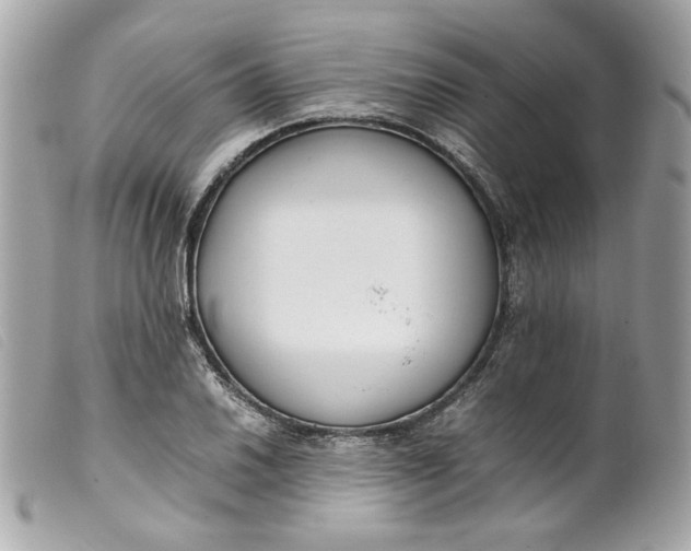 X0000099551030200805301517