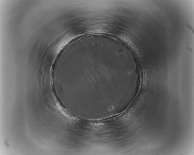 X0000099551031200805301517