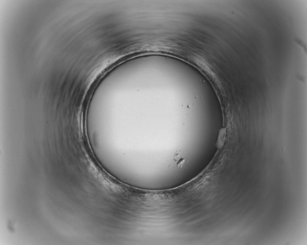 X0000099551032200805301517