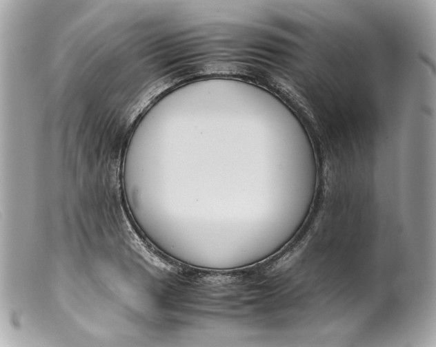 X0000099551033200805301517