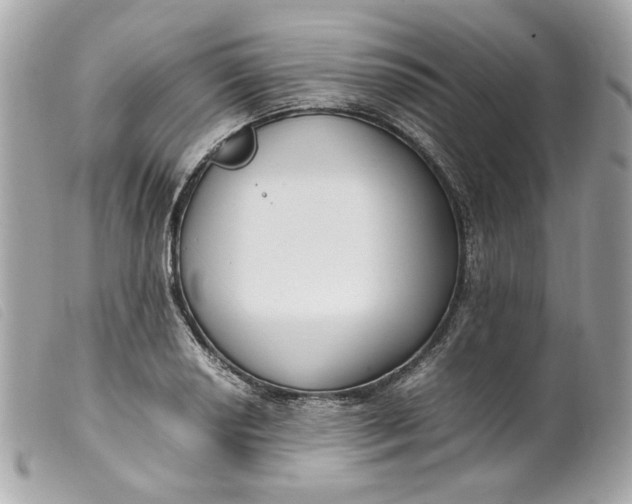 X0000099551034200805301517