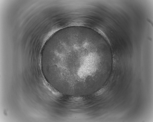 X0000099551035200805301517