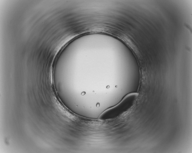 X0000099551036200805301517