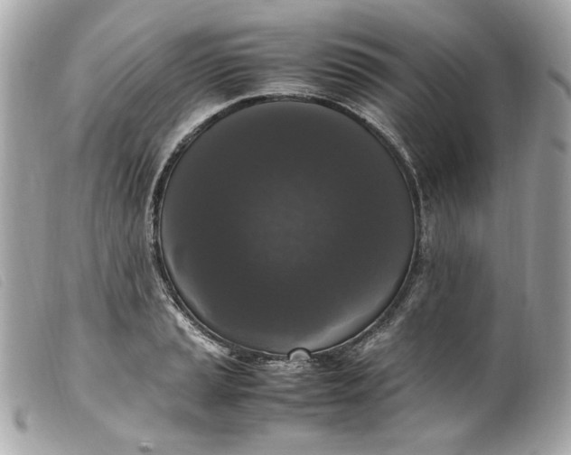 X0000099551037200805301517