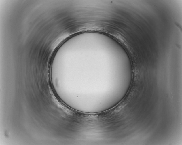 X0000099551038200805301517