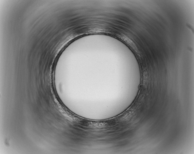 X0000099551039200805301517