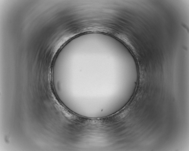 X0000099551040200805301517