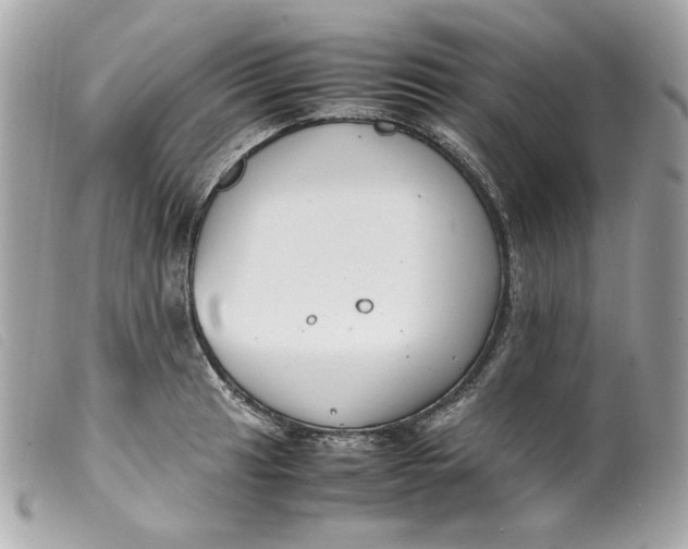 X0000099551041200805301517