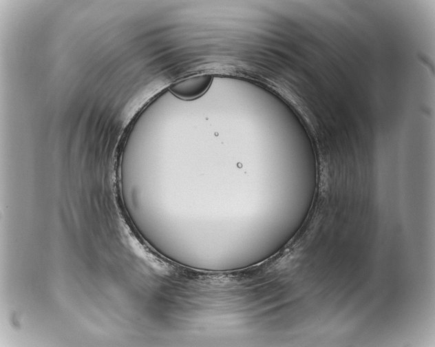 X0000099551042200805301517