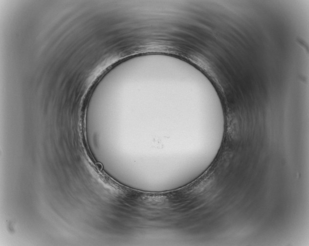 X0000099551043200805301517