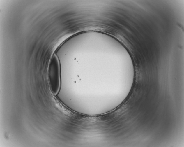 X0000099551044200805301517