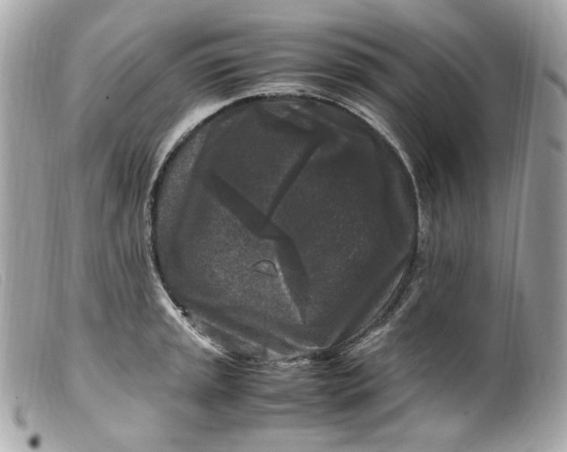 X0000099551045200805301517