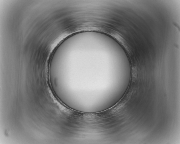 X0000099551046200805301517