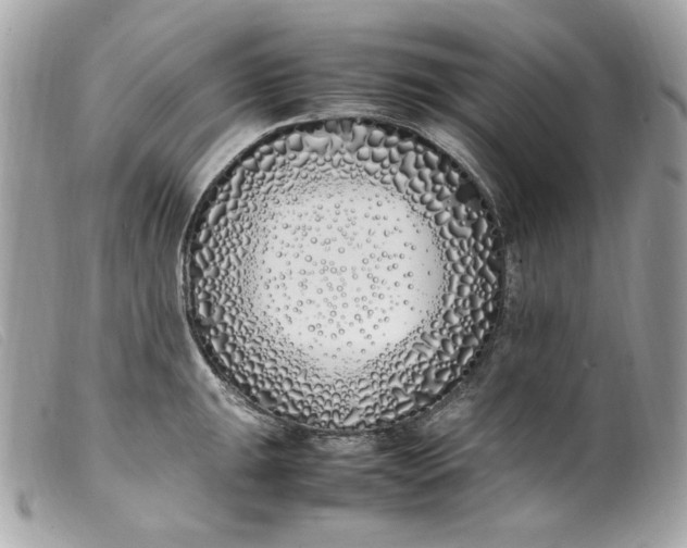 X0000099551047200805301517