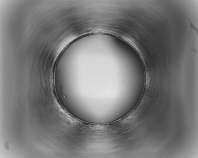 X0000099551048200805301517