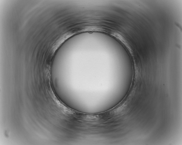 X0000099551049200805301517