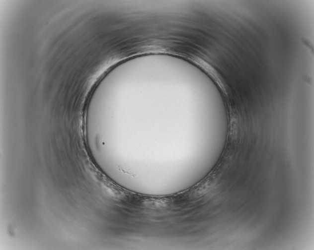 X0000099551051200805301517