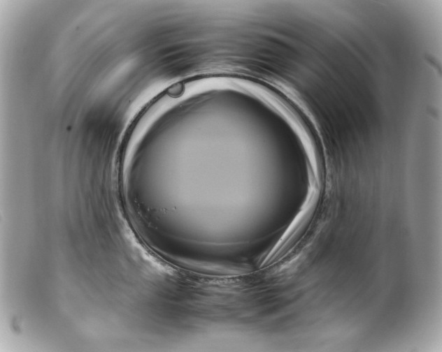 X0000099551053200805301517