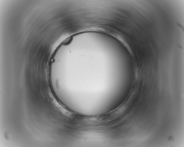 X0000099551054200805301517