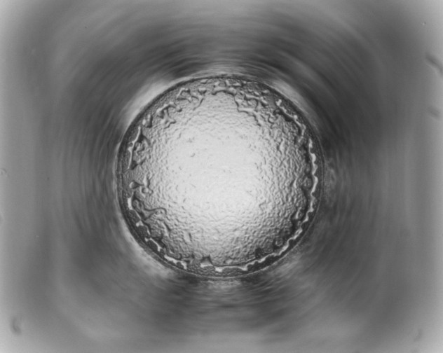 X0000099551055200805301517