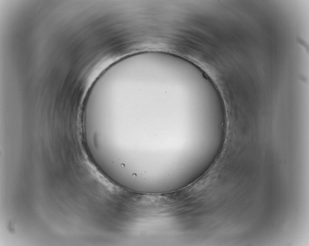 X0000099551056200805301517