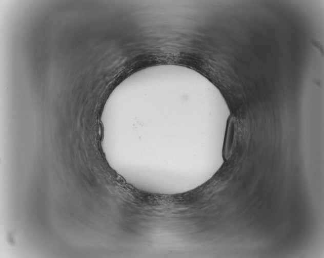 X0000099551057200805301516