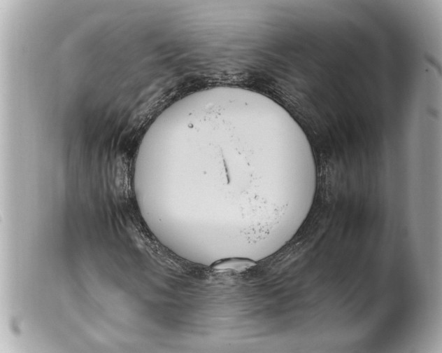 X0000099551058200805301516